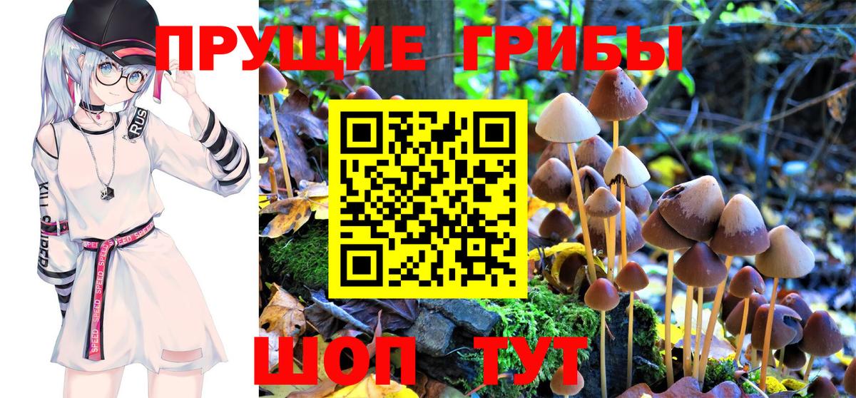 Псилоцибиновые грибы MAGIC MUSHROOMS  Вход с VPN  Галлюциногенные грибы MAGIC MUSHROOMS  Пенза 