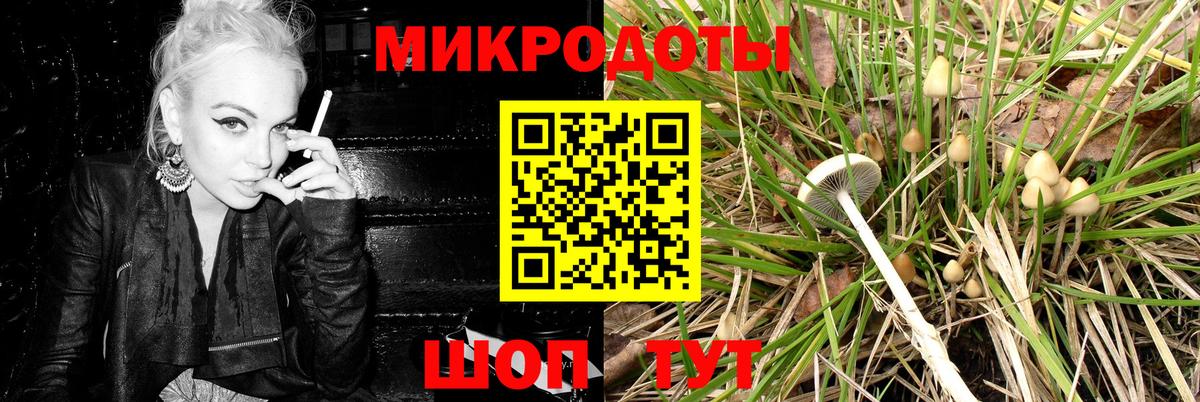 Псилоцибиновые грибы мицелий Пенза